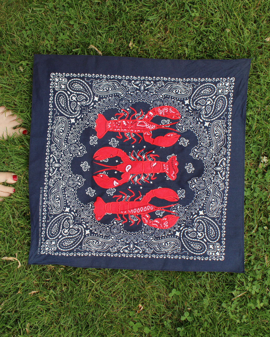 Lobster Bandana