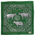 Paisley Cows