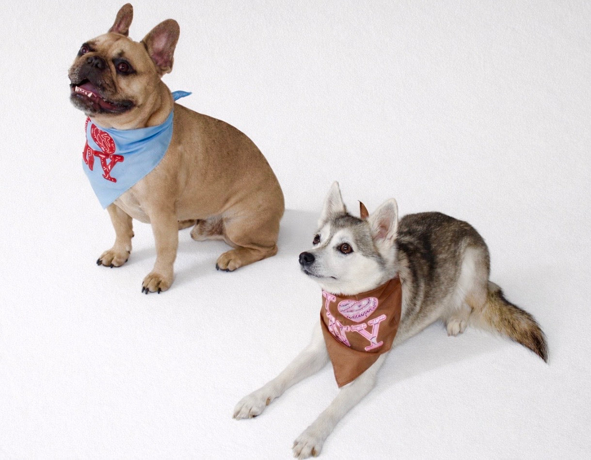 I ❤️ NY Dog Bandana
