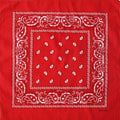 Monogram Icon Bandana