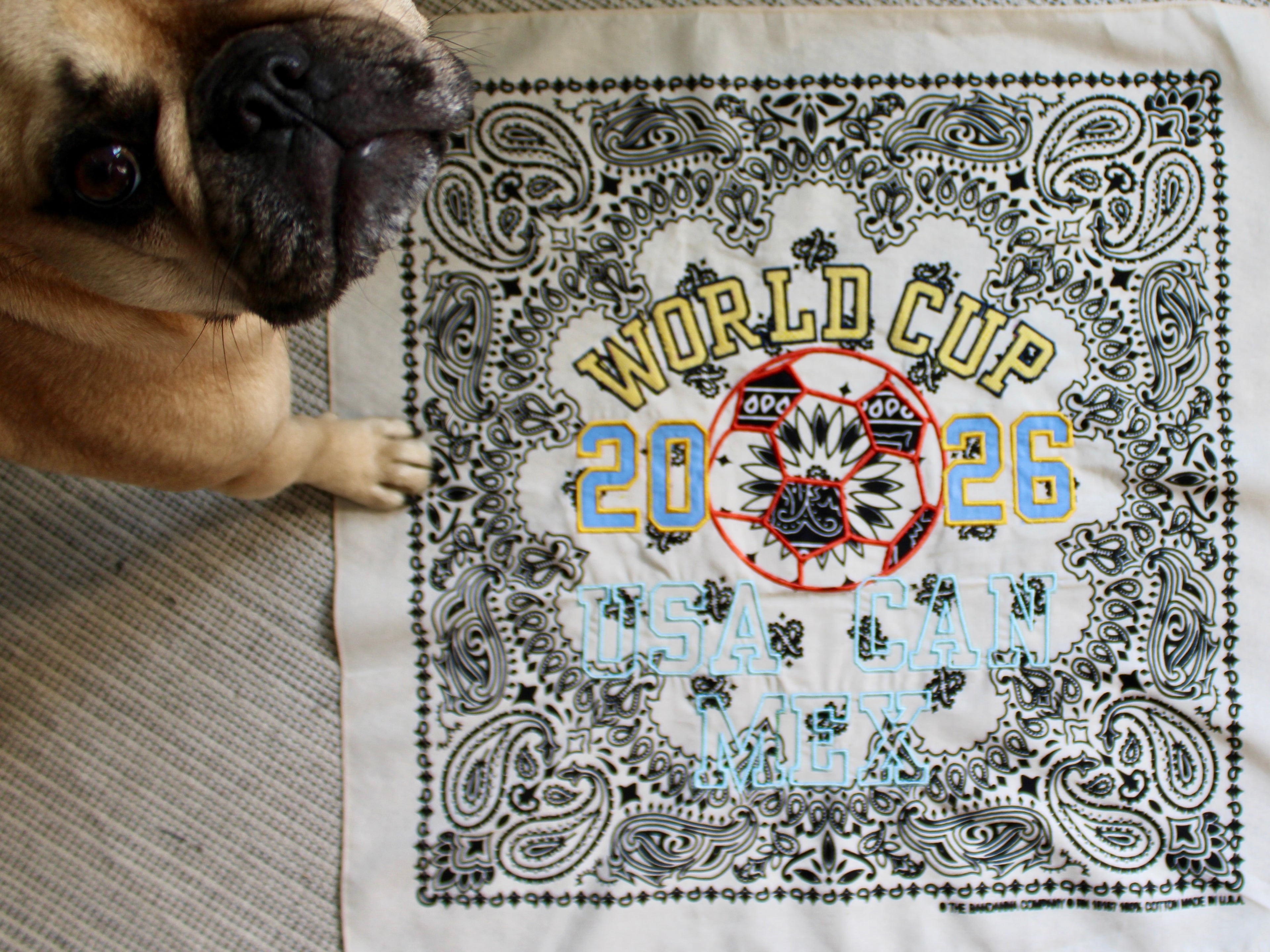 World Cup Bandana
