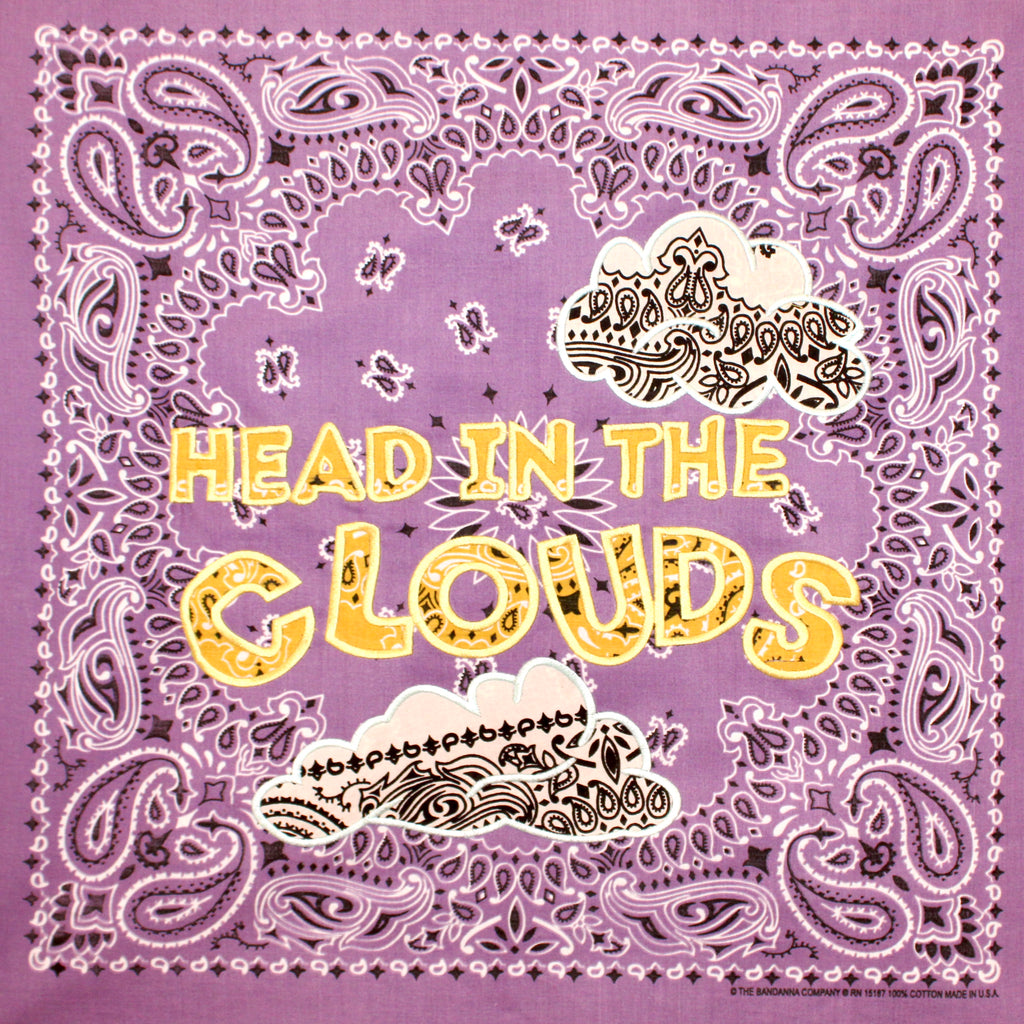 HEAD IN THE CLOUDS