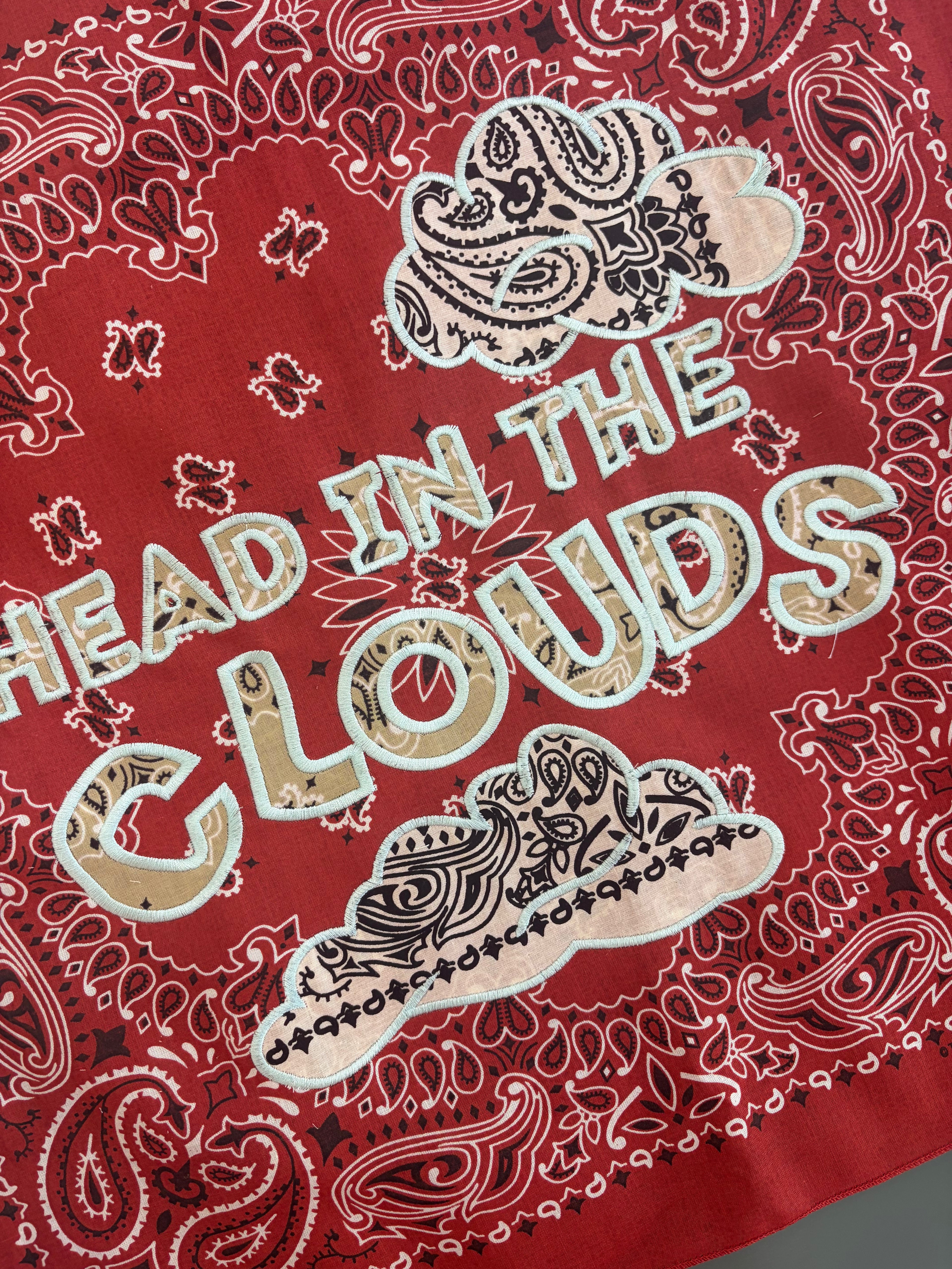 HEAD IN THE CLOUDS