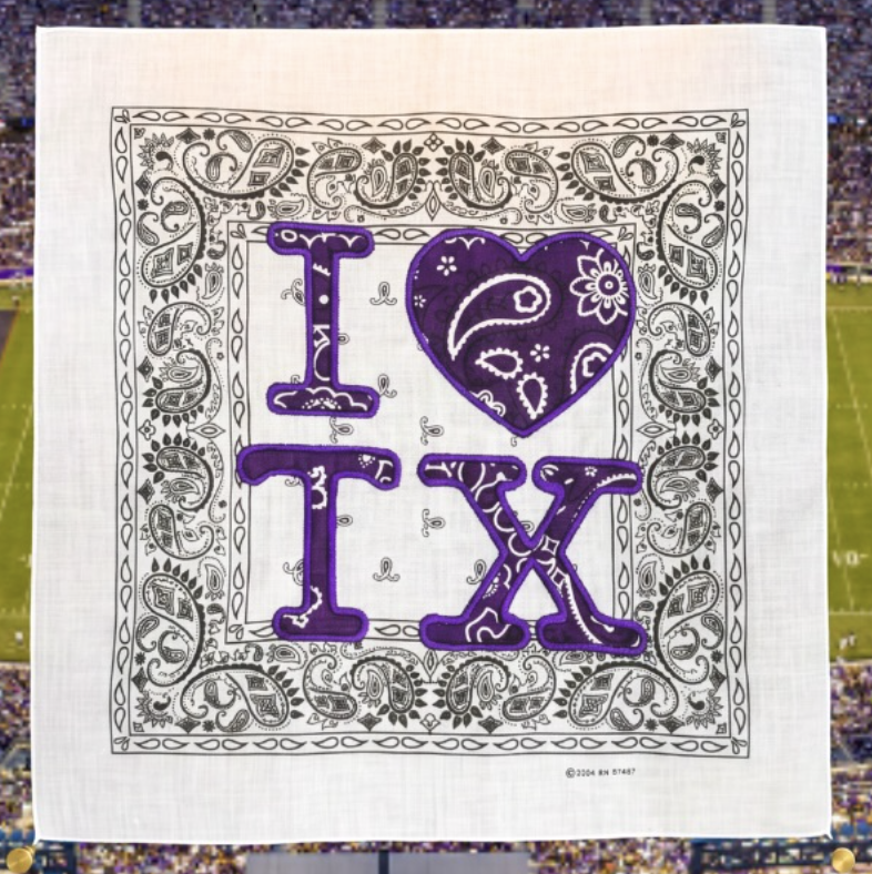 FW TX Purple Mini Bandana