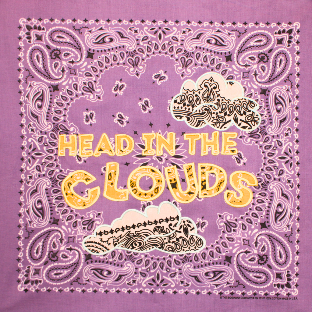 HEAD IN THE CLOUDS