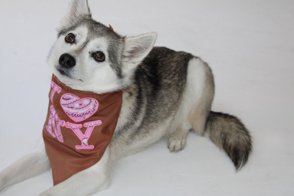 I ❤️ NY Dog Bandana