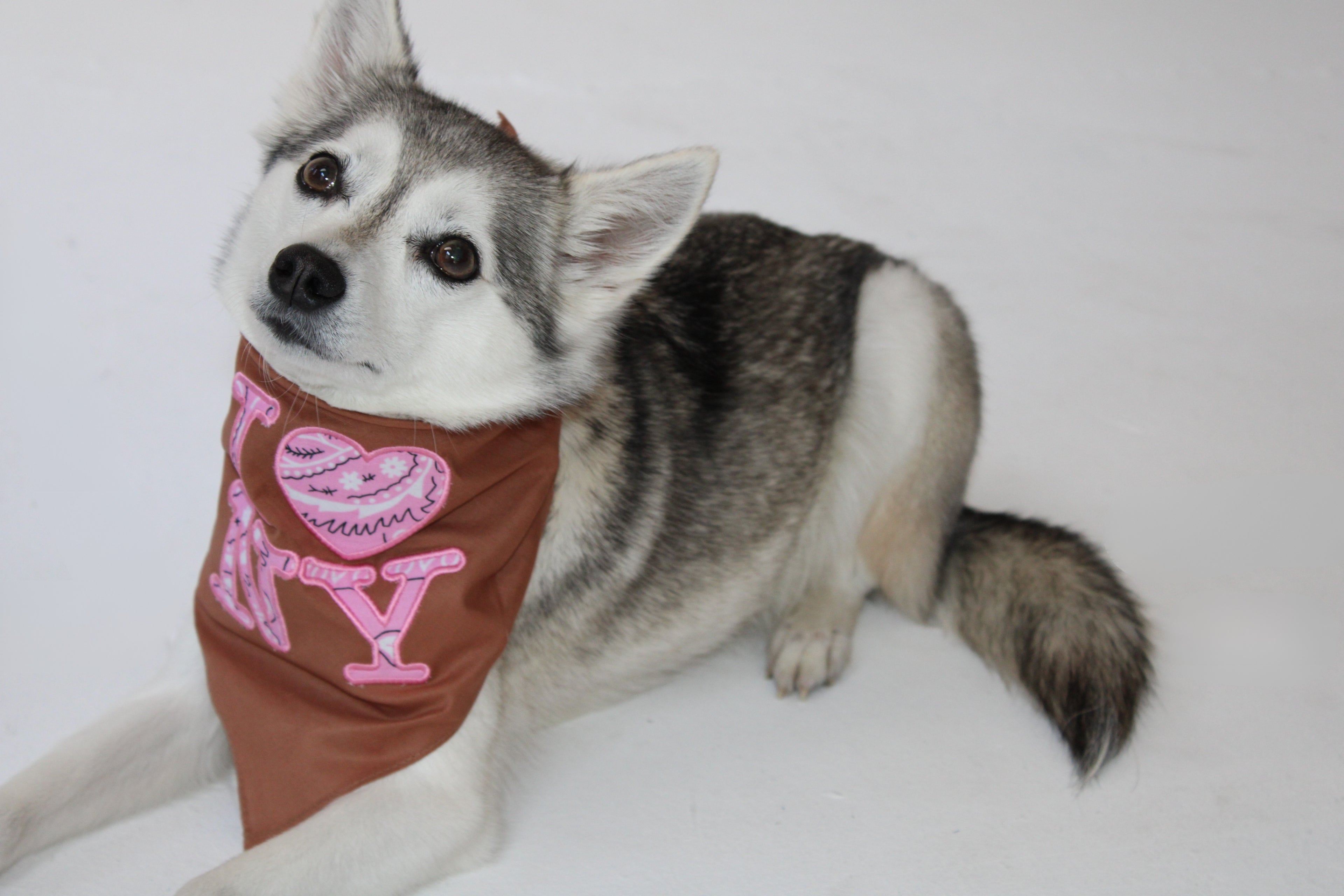 I ❤️ NY Dog Bandana